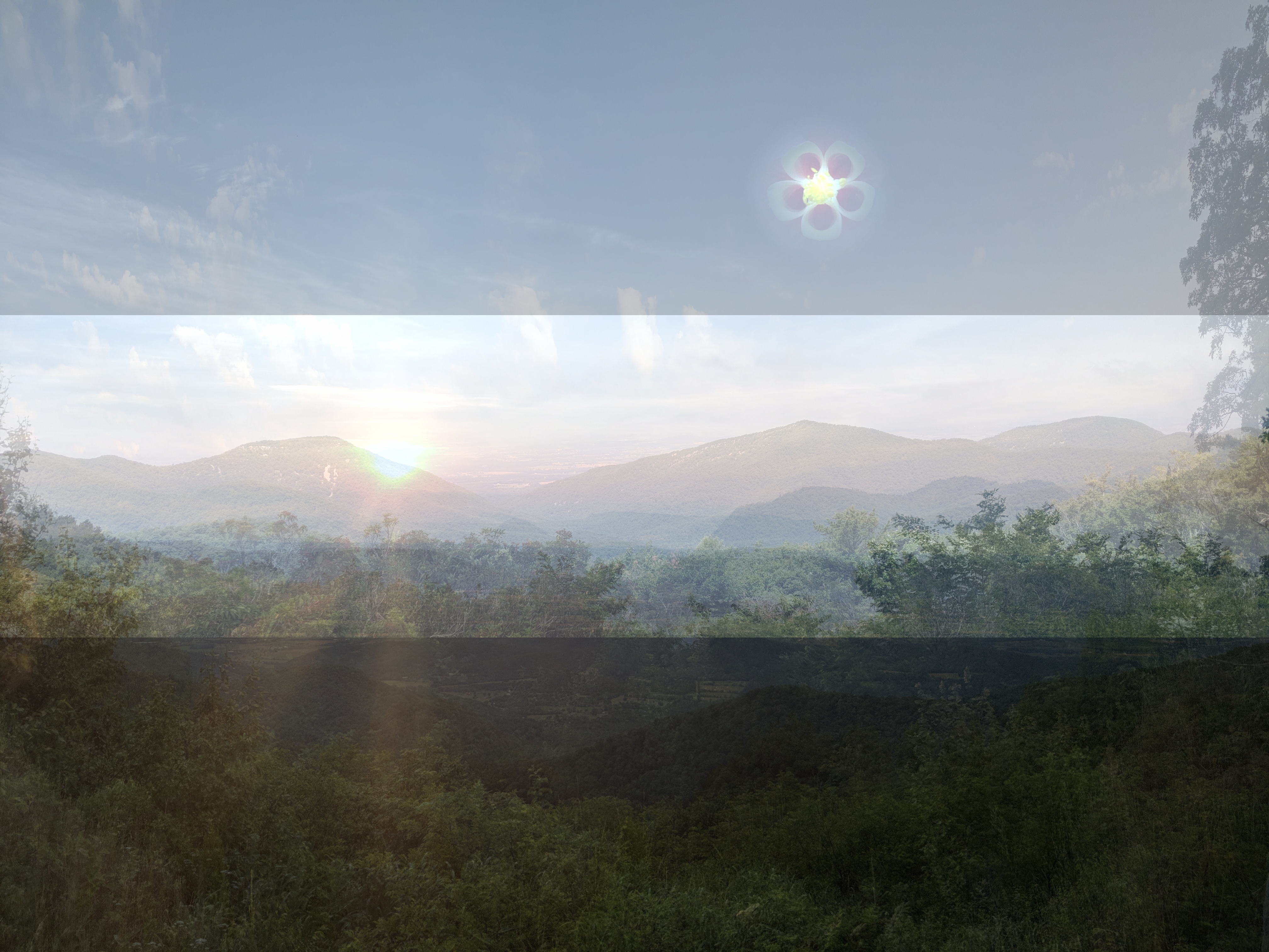 six sided shenandoah